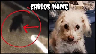 HORROR Documentary - CARLOS NAME - A Terrifying Instagram Story