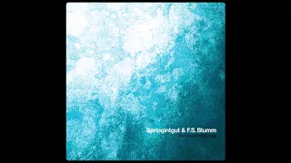 Springintgut & F.S. Blumm - Eskimono ( 2017 )