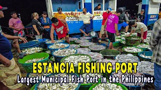 ESTANCIA FISHING PORT Walking Tour | Largest Municipal Fish Port in the Philippines |