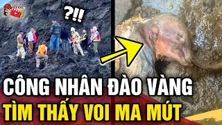 Đang 'ĐÀO VÀNG', công nhân phát hiện xác 'VOI MA MÚT CỔ ĐẠI' nguyên vẹn đến khó tin | Tin 3 Phút