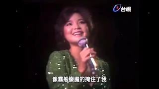 云河《邓丽君》Cloud River Teresa Teng