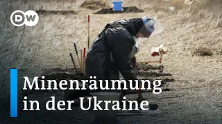 Ukraine: vermintes Land, verwaiste Äcker | Fokus Europa