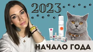 2023 НАЧАЛО ГОДА - грипп, прививка коту, пустые банки