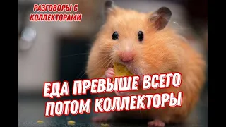 ПОПРУБУЙ НЕ ЗЕВНУТЬ | РАЗГОВОРЫ С КОЛЛЕКТОРАМИ