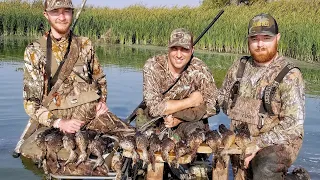 AWESOME Teal Hunt on CROWDED Public Land