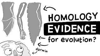 Is Homology Evidence for Evolution? (Long Story Short, Ep. 1)