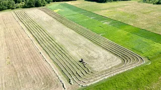 Are those HORSES Raking that Field of Hay??? // Draft Horse Farming #501