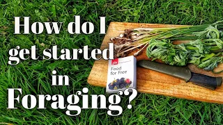 How do I get started in Foraging?