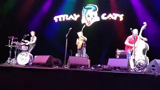 STRAY CATS - Rock this Town (2019  Amsterdam)