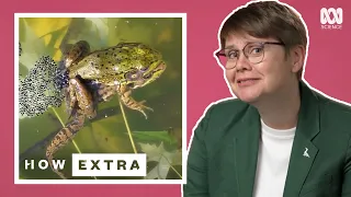 The Kermit Sutra: Doing It Froggy Style | REACTION | How Extra: Love Edition | ABC Science