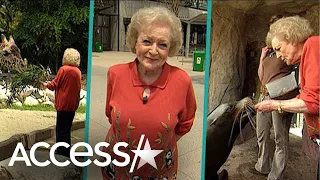 Betty White's Love For Animals Is Undeniable In Throwback Video