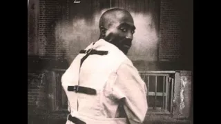 The 2Pac LP - 2pac Only Fear of Death