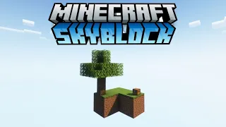 REVISITING MINECRAFT SKYBLOCK IN 2022