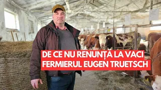De ce nu renunță la vaci fermierul Eugen Truetsch din Râșnov, județul Brașov