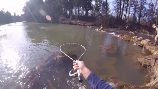 Trout Fishing - Blue River, Oklahoma - 2.17.17