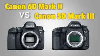 Обзор-тест Canon 6D Mark II в сравнении с Canon 5D Mark III