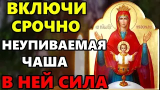 ВКЛЮЧИ СЕЙЧАС САМУЮ СИЛЬНУЮ МОЛИТВУ БОГОРОДИЦЕ Неупиваемая Чаша! Сильная Молитва от пьянства