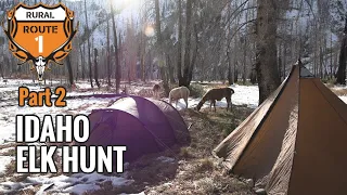 Idaho Elk Hunt | Part 2 - Close Encounters | rr1hunt