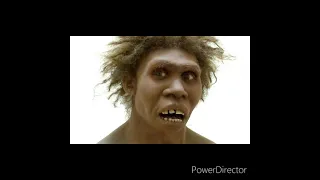 Faces of Homo Erectus