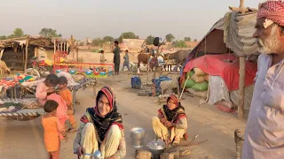 Pakistani Nomadic Women Morning Routine || Village Life Pakistan || Stunning Pakistan