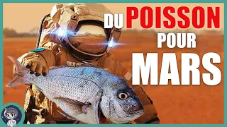 Les premiers ANIMAUX nés sur MARS ! - On Se l'Demande #21 - Le Journal de l'Espace