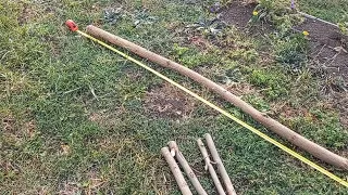 Black locust coppice - regenerative small diameter wood production