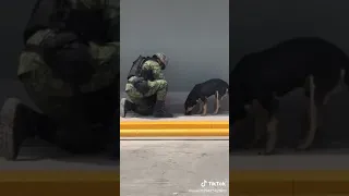 Un soldado dando comida a un perro en la calle en un oxxo