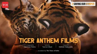 Tiger Anthem Film 1 | Shantanu Moitra | Subbiah Nallamuthu | #SavingOurStripes