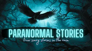 TRUE Paranormal Stories in the Rain | HYBRID | S4E4 | True Scary Stories in the Rain