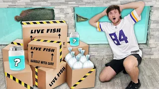 Ordering World’s LARGEST AQUARIUM FISH in Mail!! (Gone wrong)