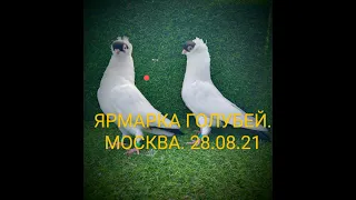 ЯРМАРКА ГОЛУБЕЙ.Москва. 28.08.21#голуби#ярмарка#голубеводство#tauben#loft#pigeon