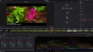 Canon EOSM RAW Workflow | Davinci Resolve Tutorial | 4k