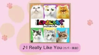 遂に配信開始！猫のグループ“にゃあにゃあず”「I Really Like You」（from『ニャンダフル・ワールド』）