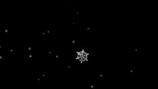 Snow Falling Video Effect (Black Screen) Free to use
