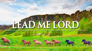 LEAD ME LORD | Instrumental Worship & Scriptures with Beautiful Nature | Inspirational CKEYS