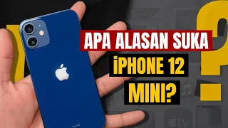 Apa Alasan Suka iPhone 12 mini?