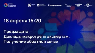 Предзащита. Доклады макрогрупп экспертам. Получение обратной связи | «Живые библиотеки Приангарья»