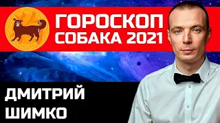Гороскоп Собака -2021. Астротиполог, Нумеролог - Дмитрий Шимко
