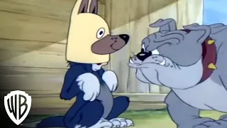 Tom and Jerry Greatest Chases | Volume 3 | Dog Chase | Warner Bros. Entertainment