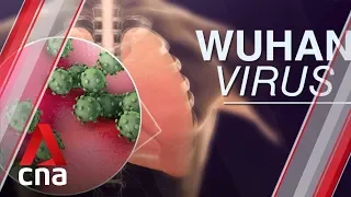 Singapore confirms first case of Wuhan virus