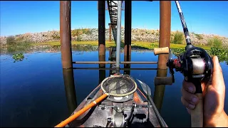 Fall Bass Fishing on the California Delta