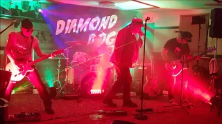 Diamond Dogs live 2017