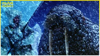 Attacked By A Giant Walrus | Sinbad and the Eye of the Tiger | Creature Features