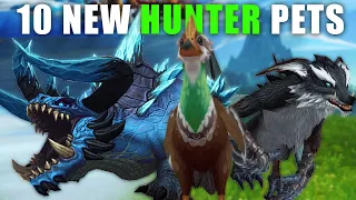 Top 10 New Hunter Pets Tamable in Dragonflight