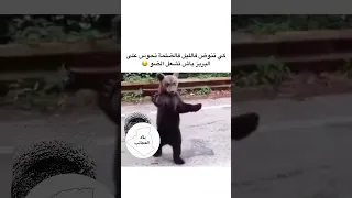 كي تنوض فالليل و تحوس على البريز باه تشعل الضو😭😂😂تموت بالضحك#meme #fun  # latestmeme #nokat #comedy