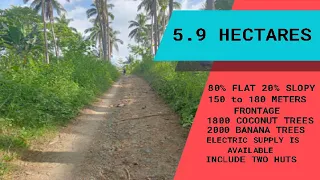 #001  -   5.9  HECTARES BRGY. DELA PAZ 75 PESOS PER SQM MAPAPAWOW KA SA DAMI NG FRUIT BEARINGS.