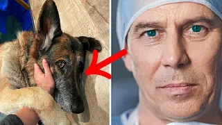 Family Adopts Retired Police Dog – Vet Turns Pale After Taking a Closer Look