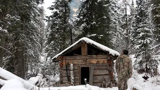 Промысловая охота на АЛТАЕ/Идем на берлогу/Добыли рябчика/Потерялась собака/Вся правда о медведях #2