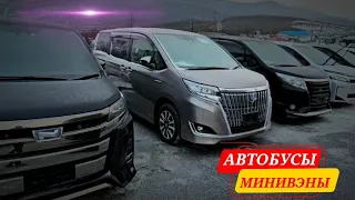 #Владивостокавторынок АВТОБУСЫ-МИНИВЭНЫ