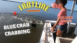 BLUE CRAB Crabbing! episode 1- Commercial Blue Crabbing with WATERWOMAN Captain Rachel 2019